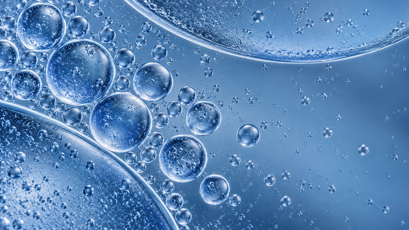 Bioanalytical services